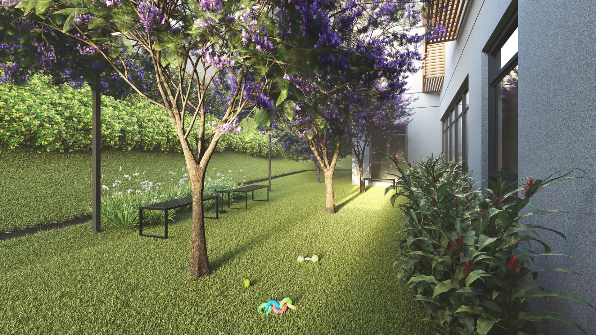 10-pet-place-do-it-paulista-riva