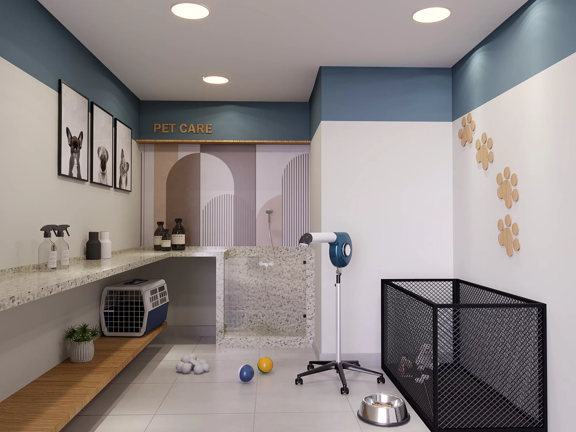 CH2-IMG-MV-026-PETCA-R00